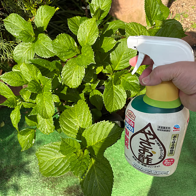 nannoさんの部屋