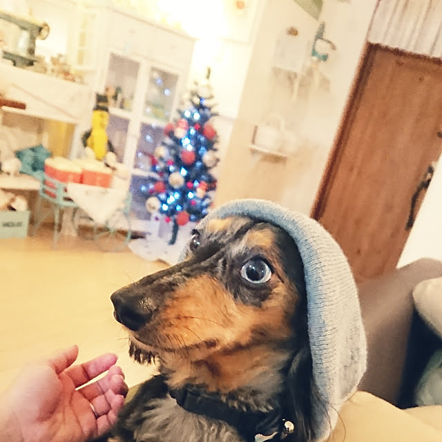 rena.kaito3127さんの実例写真