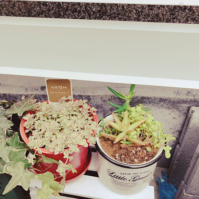 kokomamaさんの実例写真