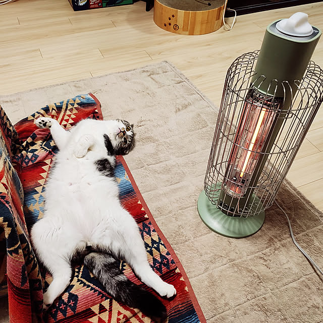 Karinさんの実例写真