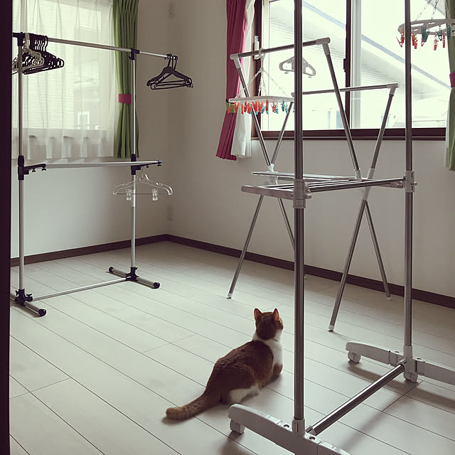 KotarouKunさんの実例写真