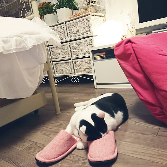 asuminさんの実例写真