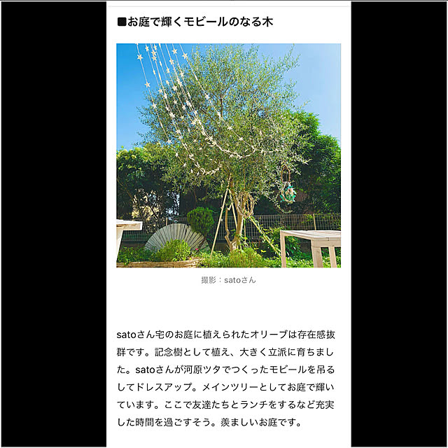 実例写真