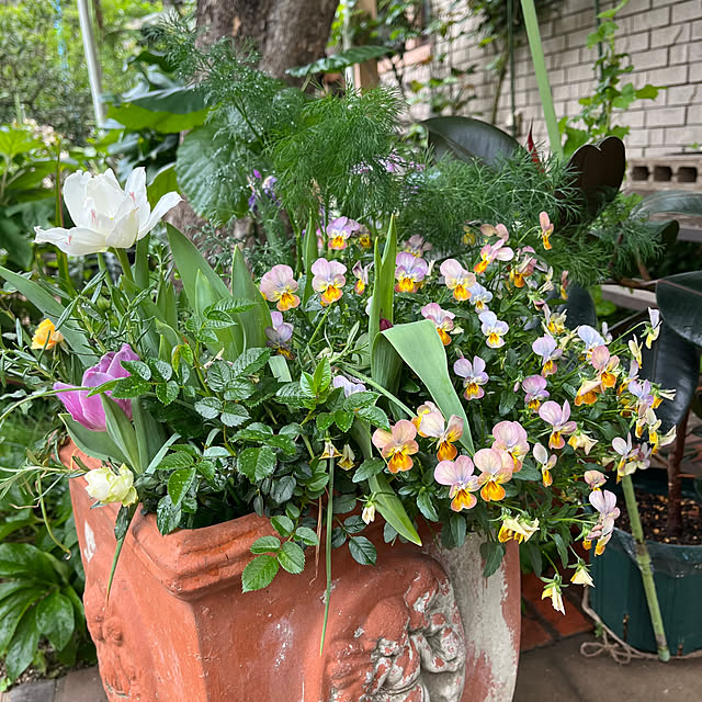 botanさんの部屋