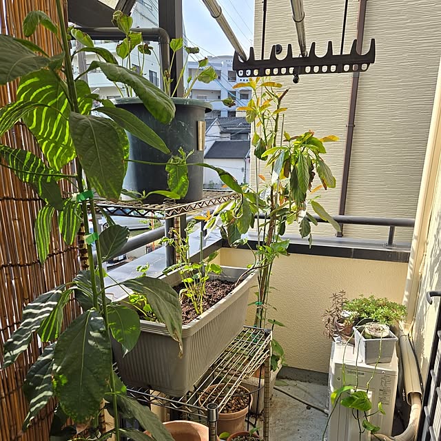 mitsuyama3136さんの部屋