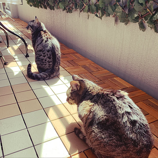 akimamさんの実例写真