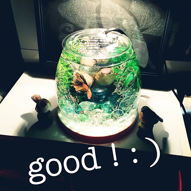 nakama_sayumiさんの実例写真