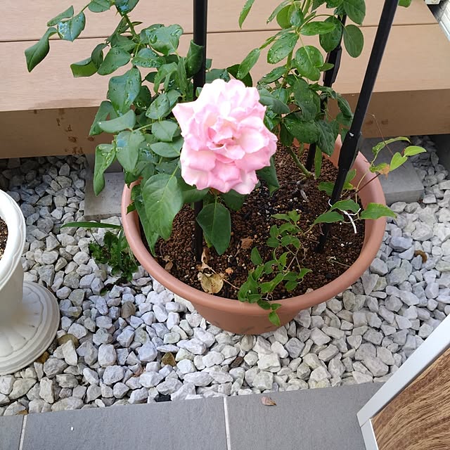 NAOKIさんの実例写真