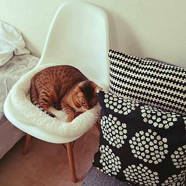 komugiさんの実例写真