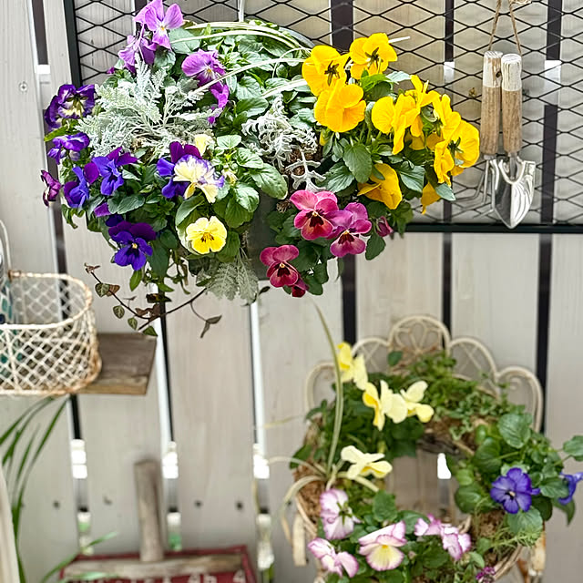 asako.10さんの部屋