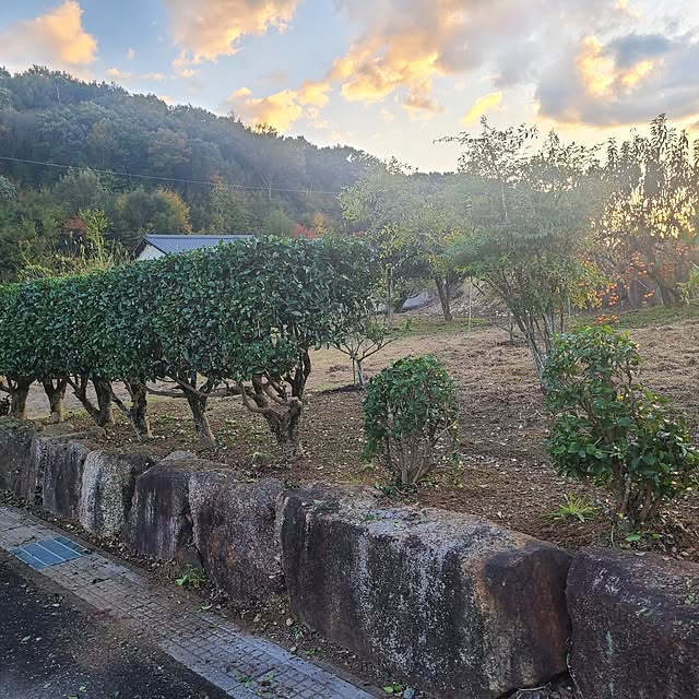 Rubiconさんの部屋