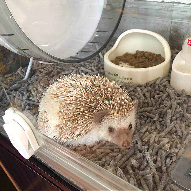 yunyumさんの実例写真