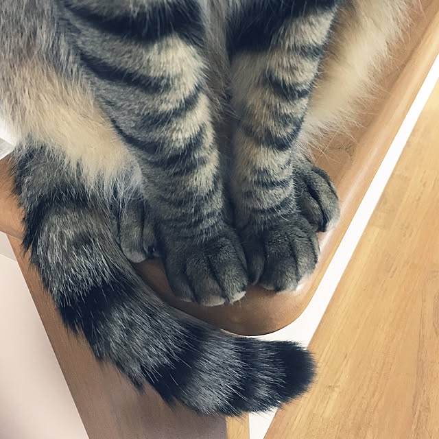 baronkotarouさんの実例写真