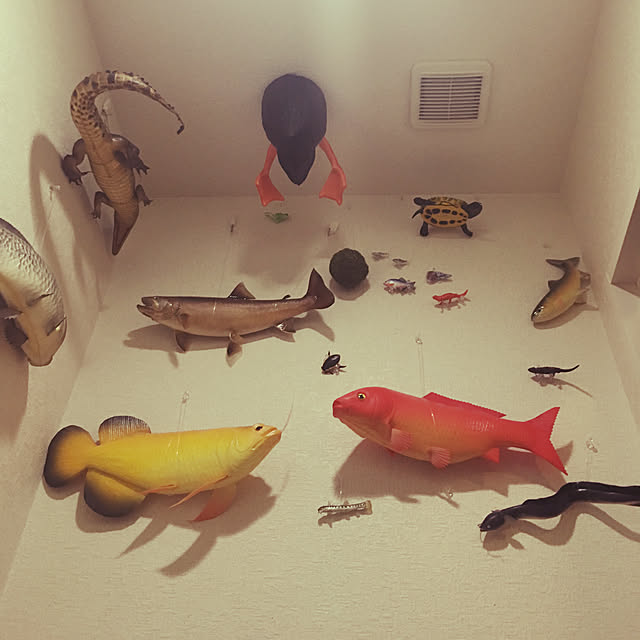 takakuzenさんの実例写真