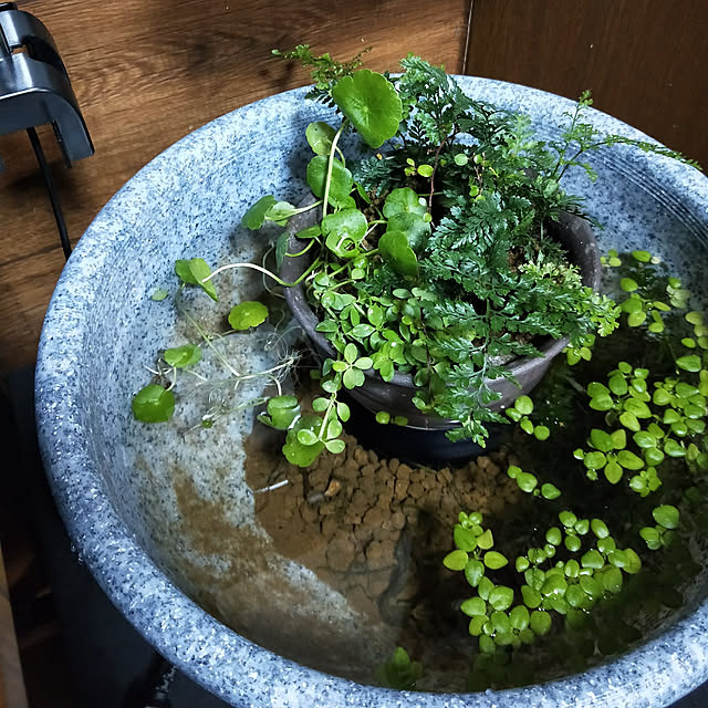 opiopiopiさんの実例写真