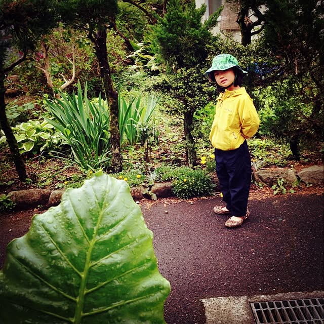 minomonさんの実例写真