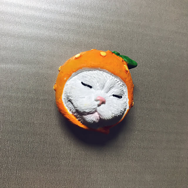 azu2213さんの実例写真