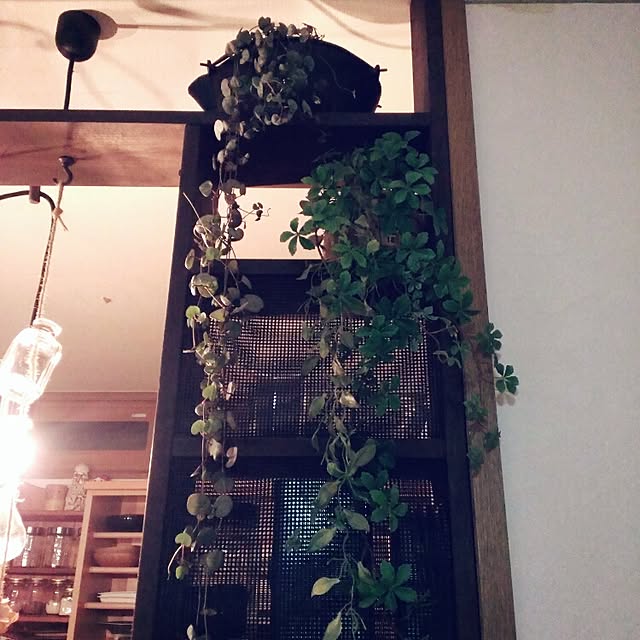 Haru87663さんの実例写真