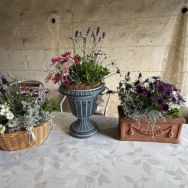 chIoeさんの部屋