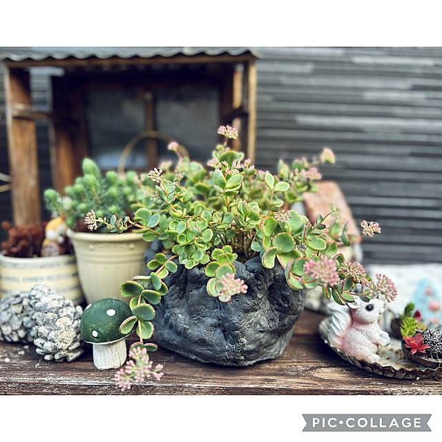 CoCo0617さんの実例写真