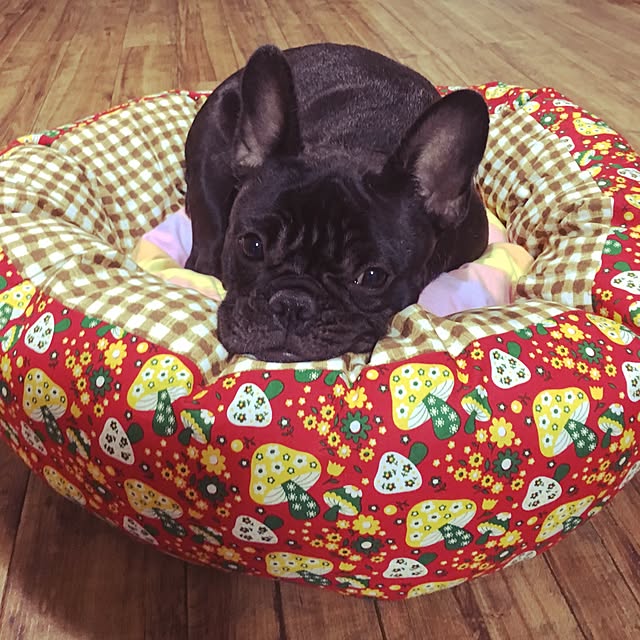 chicoさんの実例写真