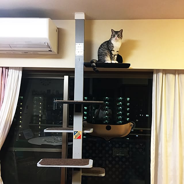Shojiさんの実例写真