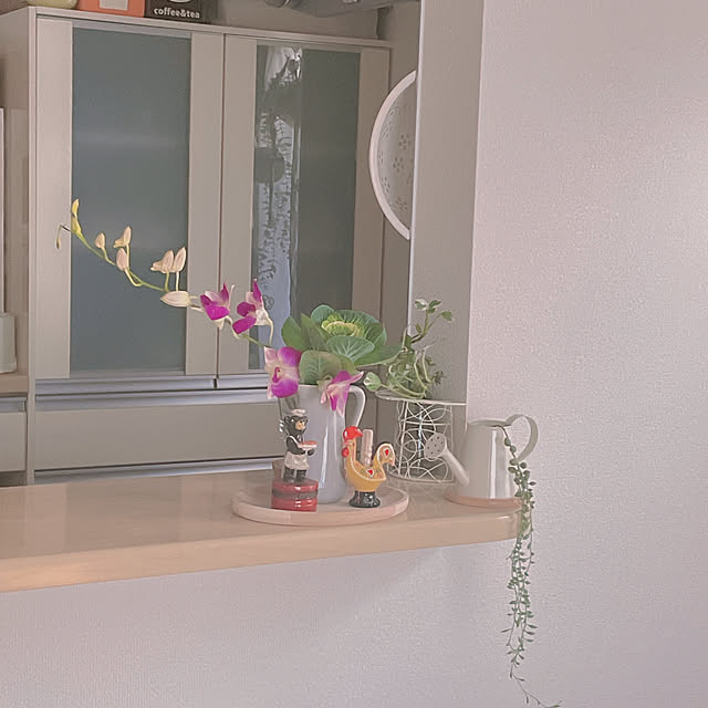 akiko-ovさんの部屋