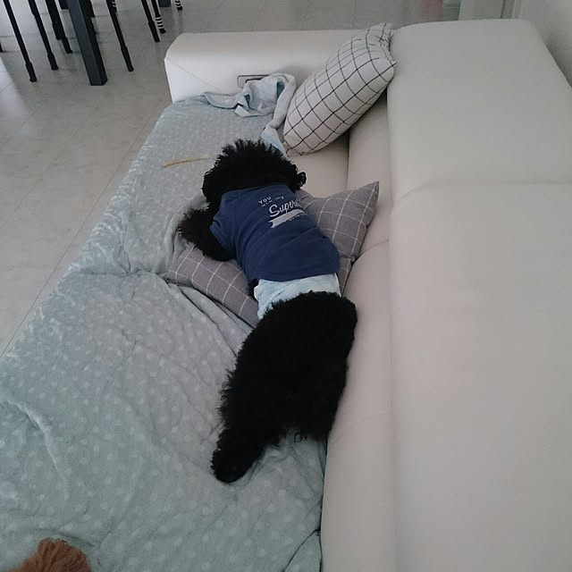 ucaさんの実例写真