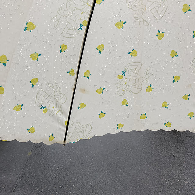 manduonmaさんの実例写真