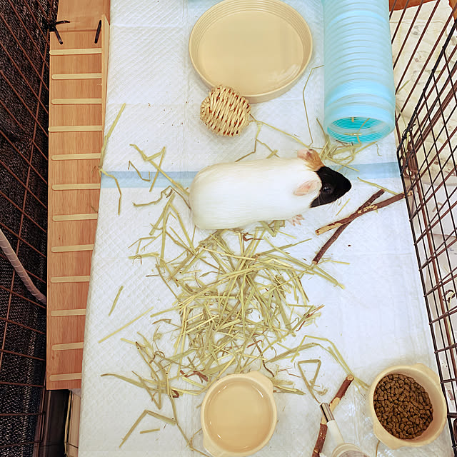 moaさんの実例写真