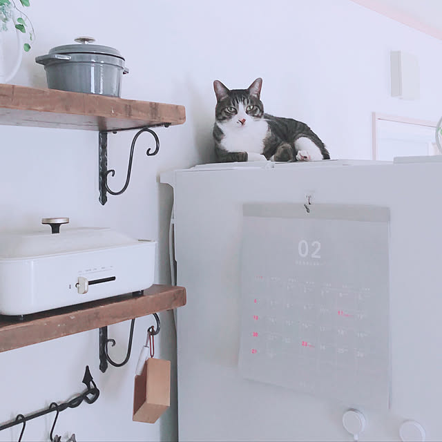 milkcocoaさんの実例写真
