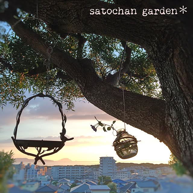 satochanさんの実例写真
