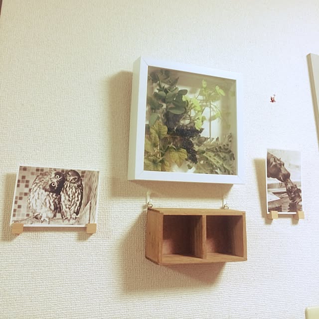starvega7lionさんの実例写真
