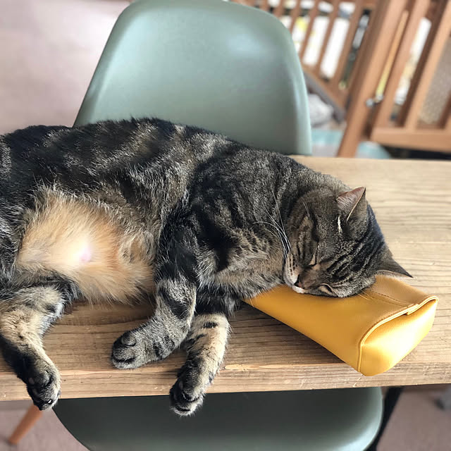 mikomaruさんの実例写真