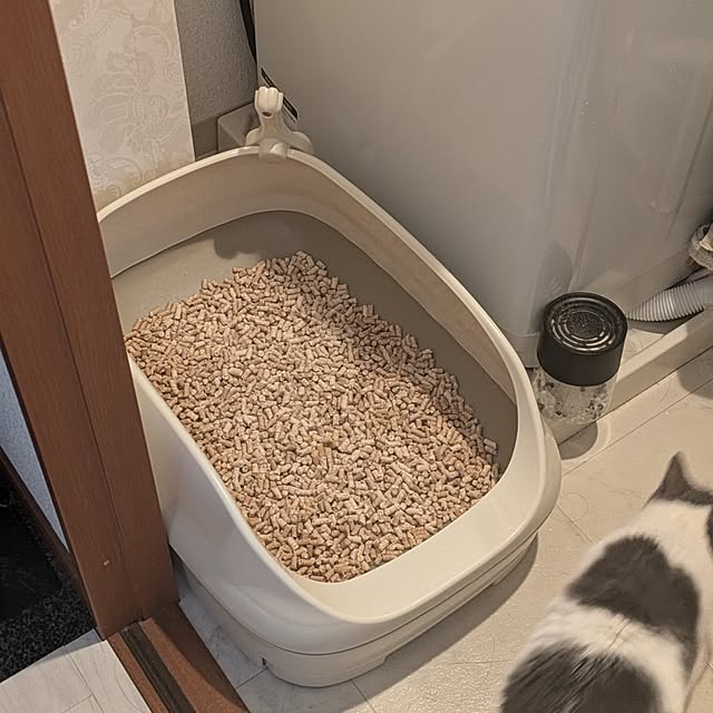 Manamiさんの実例写真