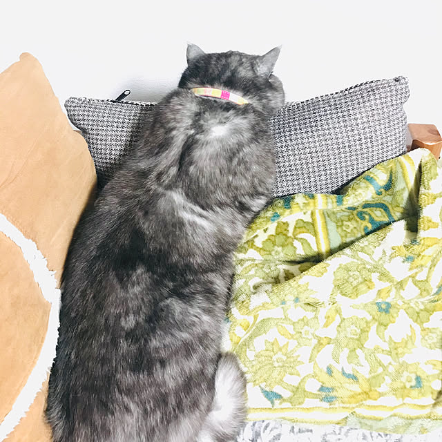 Marinさんの実例写真