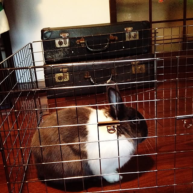 usaさんの実例写真