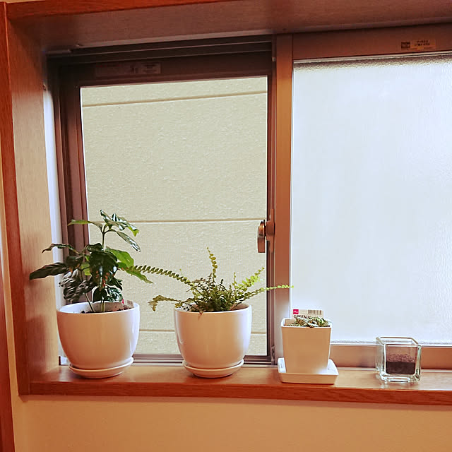nachiさんの実例写真