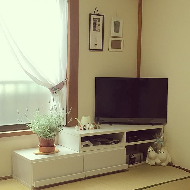 usagiさんの部屋
