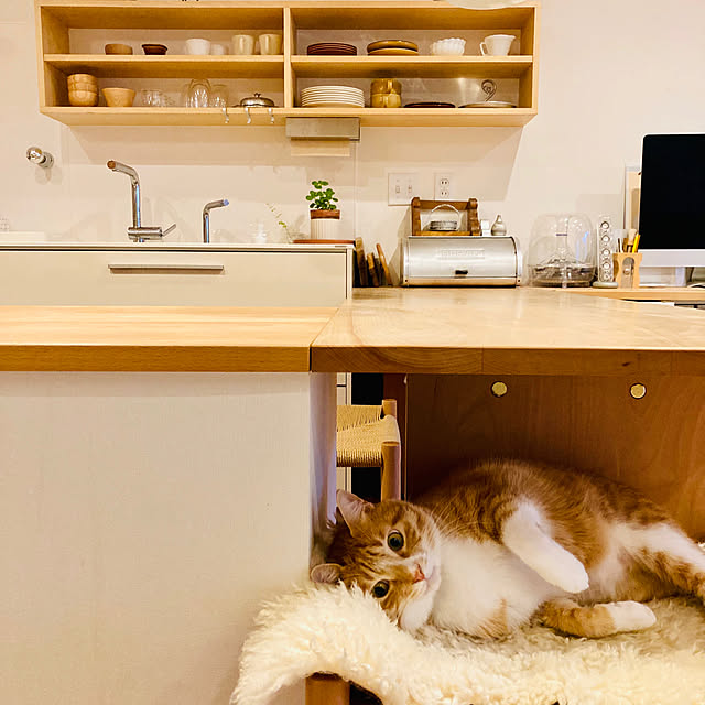 classiracさんの実例写真