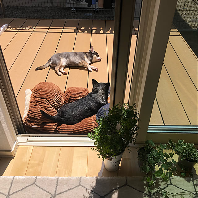 YMZKさんの実例写真