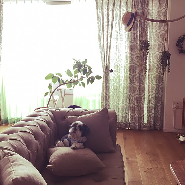 yukimikeさんの実例写真