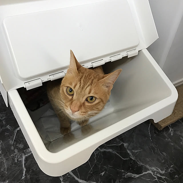 miyuさんの実例写真