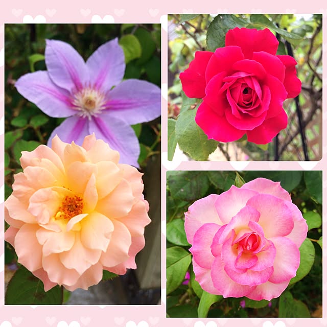 HappyRoseさんの実例写真