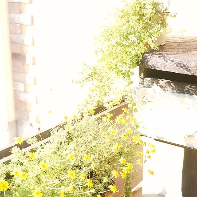 rustic-antiqueさんの実例写真
