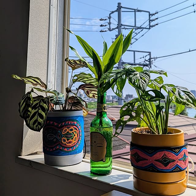 GREENTさんの部屋