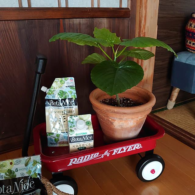 fukuさんの実例写真