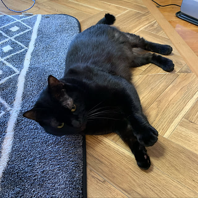 kuromiさんの実例写真