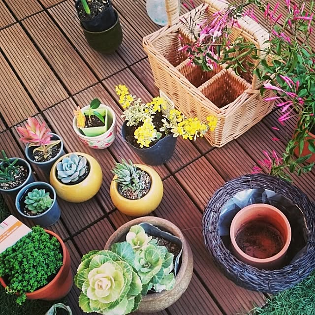 kokesatoさんの実例写真