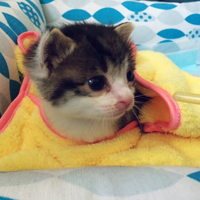 kiraさんの実例写真